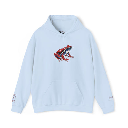Hand-drawn Alaska Native inspired wood frog hoodie — original Indigenous wildlife design — styled product photo