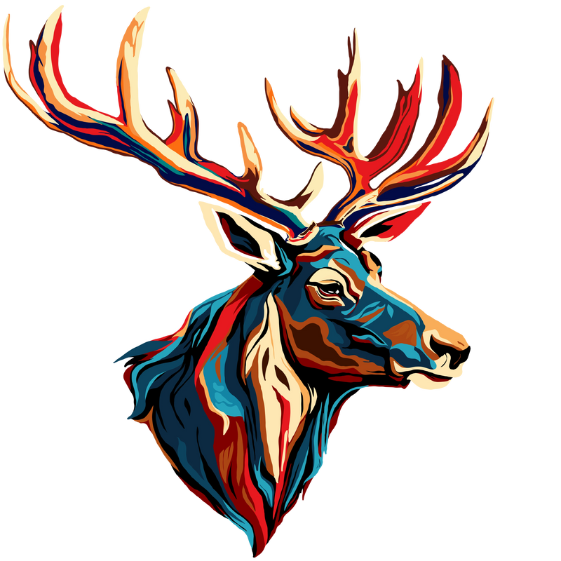 Antlers And Horns