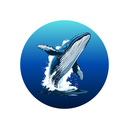 Hand-drawn humpback whale circle sticker — original wildlife art by Kayanna Healy at Neo Native