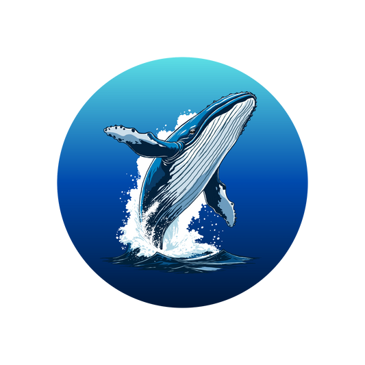 Hand-drawn humpback whale circle sticker — original wildlife art by Kayanna Healy at Neo Native