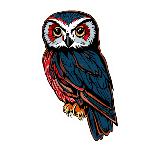 Hand-drawn Alaska Native inspired saw-whet owl vinyl sticker — original Indigenous wildlife design