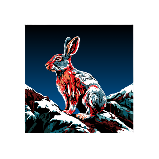 Hand-drawn snowshoe hare icon sticker — original wildlife art by Kayanna Healy at Neo Native