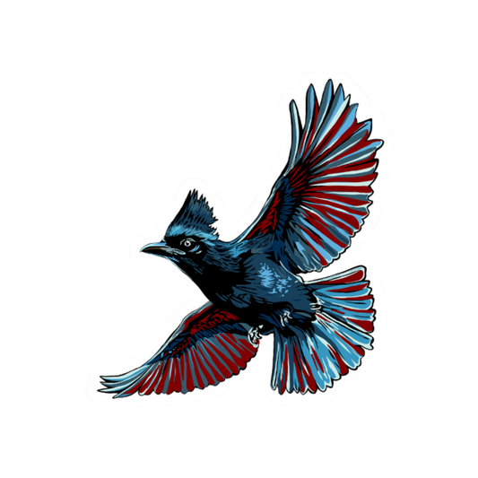 Hand-drawn Alaska Native inspired steller's jay vinyl sticker — original Indigenous wildlife design